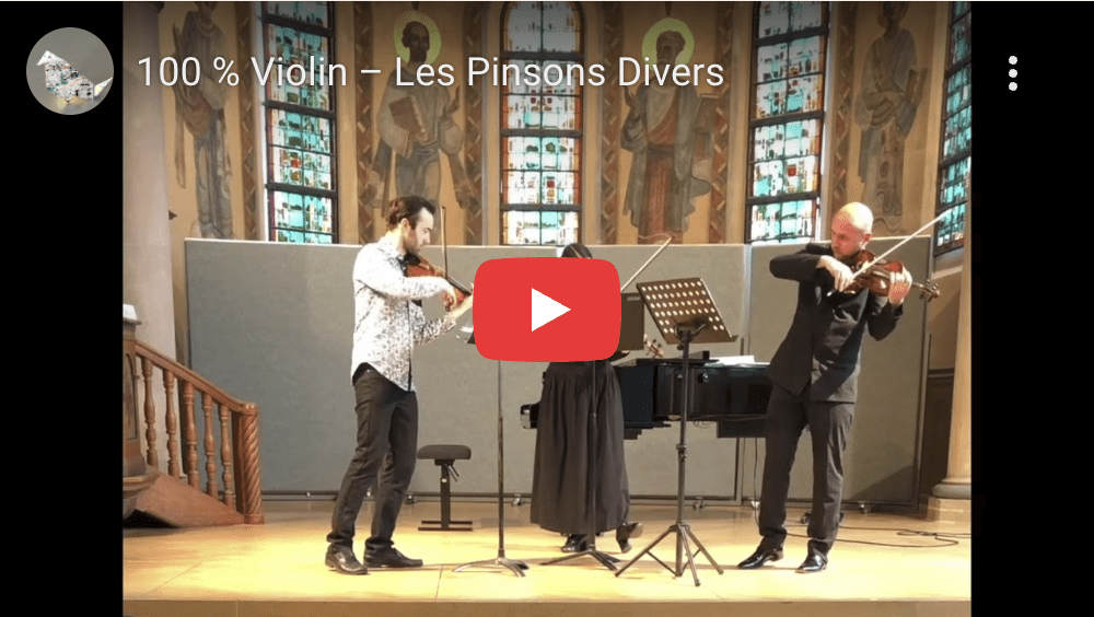 100% violon - les pinsons divers