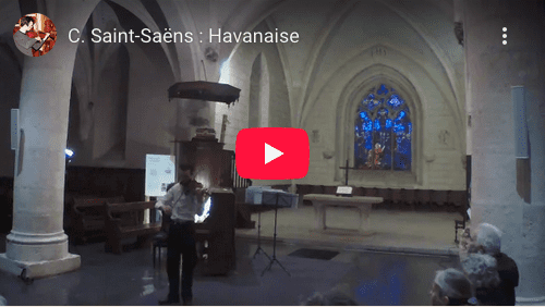 havanaise